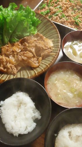 豚肉と玉ねぎのソーケチャ炒め by nekotano