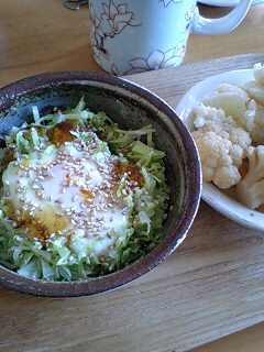 キャベ玉 by nekotano