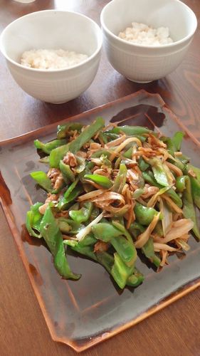 肉野菜炒め by nekotano